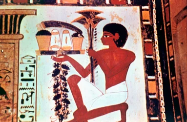 Wall Painting (detail), Servant with Offerings, Chapel of Menna, Thebes