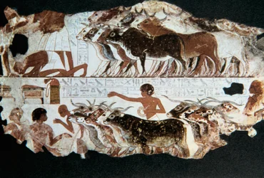 Wall painting from the tomb of Nebarunun, Thebes, Egypt