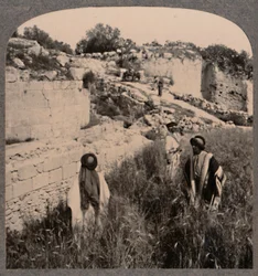 Walls of Augustus, Samaria, c1900