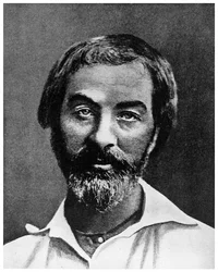 Walt Whitman, American poet, 19th century
