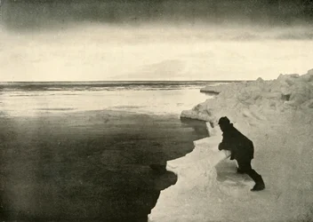 Watching for Seals at the Ice-Edge