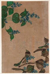 Water plants with blue flowers, Edo period