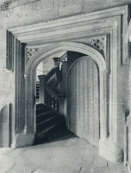 Waynflete