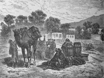 Wells of Moses, Near Suez