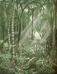 What the Mighty Coal Forests Were Like