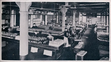 Where the famous Yorkshire Relish is made up, 1906