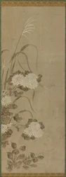 White Chrysanthemums and Grasses