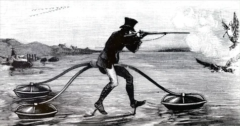 Wildfowling on an Aquatic Cycle