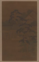 Wind in the Courtyard Pines