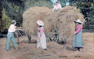 With the Hay