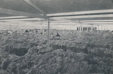 Wool for Sale in a Melbourne Showroom