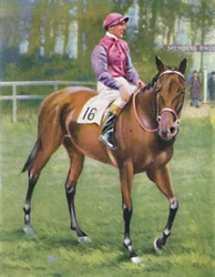 Zoltan, Jockey: M. Beary