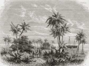 David Livingstone