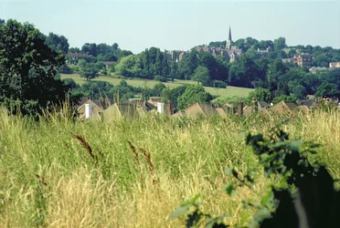 General View of the Hill