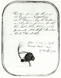Hair cut from the head of Emperor Napoleon by Giovanni Natale Santini and given by him to William Temple Franklin, 1816