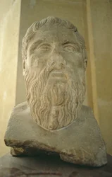 Homer