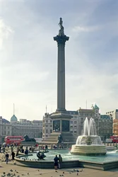 Nelson