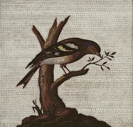 Roman mosaic of a bird in a tree