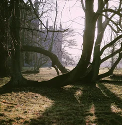 View of the North Front, Corsham Court, Wiltshire