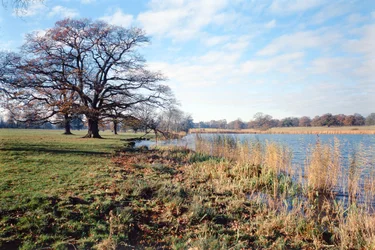 View of the Lake, Corsham Court, Wiltshire