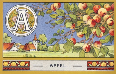 A: Apfel - Alphabet Palmin (Chromolithography, H. Schlinck & Cie, Hamburg)