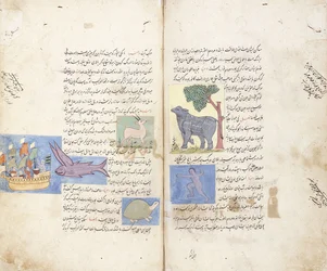 A page from the Persian manuscript "Aja