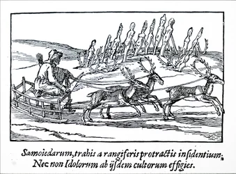 A sledge being pulled by reindeer in Northern Siberia
