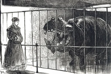 A Woman at Regent