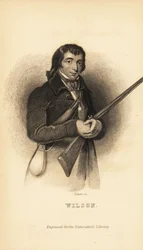 Alexander Wilson, Scottish American Ornithologist, Naturalist and Poet