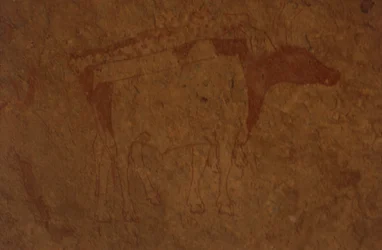 Rock Painting Depicting Bull in Tassili-n-Ajjer National Park