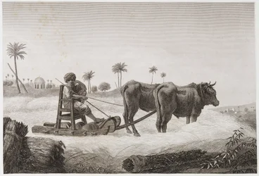 Threshing Machine, Egypt, c. 1798