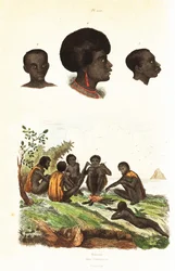 Australian Aborigines and Heads of Natives of Waigeo, West Papua