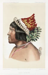 Bororo Chief, South America, c. 1843-1847