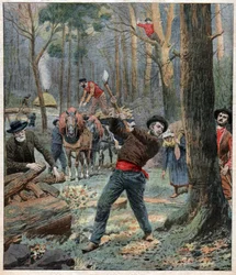 Lumberjacks
