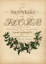Calligraphic title page with botanical vignette