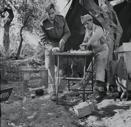 Carpenter