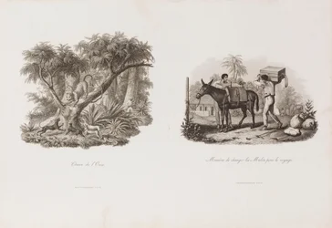 Hunt of the Eleven, from the Brasiliana Iconographic Collection
