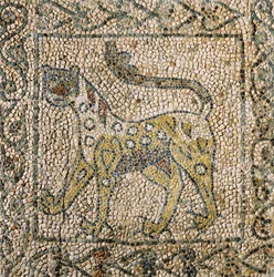 Church of Saint John Evangelist, Fourth Crusade, Fragments of mosaic floors representing spotted panther, Ravenna, Emilia-Romagna, Italy
