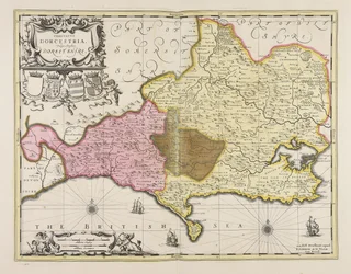 Dorset Shire