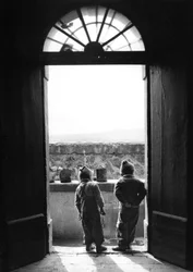 Curiosity