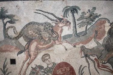 Detail of the great hunt mosaic. A leopard attacking a gazelle. 3rd - 4th century. Roman Villa of the Casale, Sicily. UNESCO site.