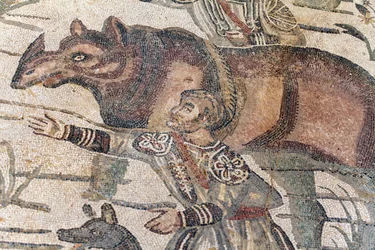 Detail of the great hunt mosaic. A rhinoceros is being led onto a boat to be transported to the nearest port. 3rd - 4th century. Roman Villa of the Casale, Sicily. UNESCO site.