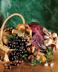 Diet: Still Life of Black Grapes, Garlic, Onion, Garlic Clove, Parsley, Mushroom, Chestnut, Kiwi, and Red Cabbage