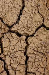 Dry II