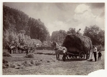 Farming Scenes, Harvesting & Storage, Pre-1900 Haymaking, c 1890