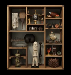 Finch and Co’s Cabinet of Curiosities