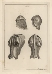 Helmet and Iron Chanfron that Belonged to Guy, Earl of Warwick