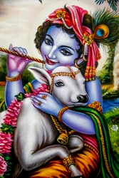 Hindu god Krishna with a calf. Watford, U.K.