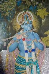 Hinduism: painting of Lord Krishna with flute; Durgiana Mandir Vishnu Temple; Amritsar; Punjab; India
