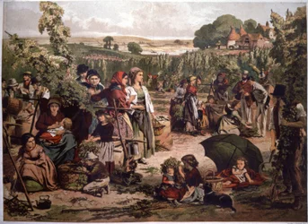 Hops Picking in England, End of the 19th Century